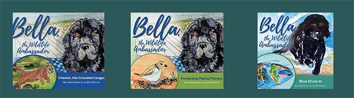 Bella Stories